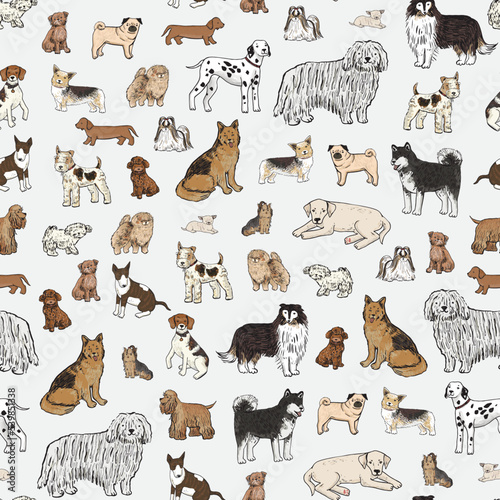 Fototapeta Naklejka Na Ścianę i Meble -  Dogs pets breed vector seamless pattern.