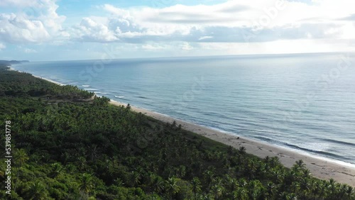 Wallpaper Mural drone view from beach approaching to the forest in brazil Torontodigital.ca