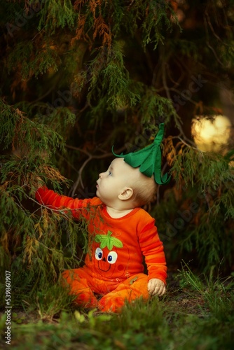 cute baby in a pumpkin costume outdoors in autumn