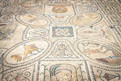 detail of a roman mosaic at Volubilis, morocco, north africa