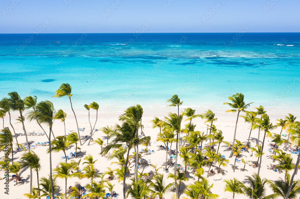 Bounty and pristine sandy shore with coconut palm trees, caribbean sea washes tropical coast. Arenda Gorda beach. Dominican Republic. Aerial view
