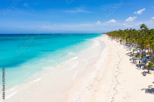 Fototapeta Naklejka Na Ścianę i Meble -  Bounty and pristine sandy shore with coconut palm trees, caribbean sea washes tropical coast. Arenda Gorda beach. Dominican Republic. Aerial view