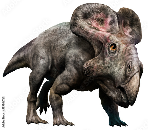 Protoceratops from the Cretaceous era 3D illustration 