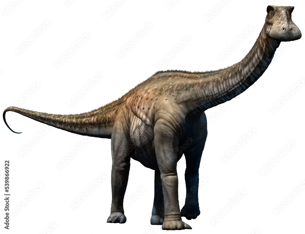 Fototapeta premium Nigersaurus from the Cretaceous era 3D illustration 