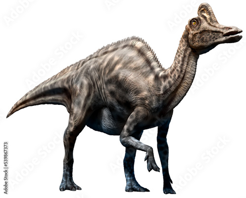 Velafrons from the Cretaceous era 3D illustration 