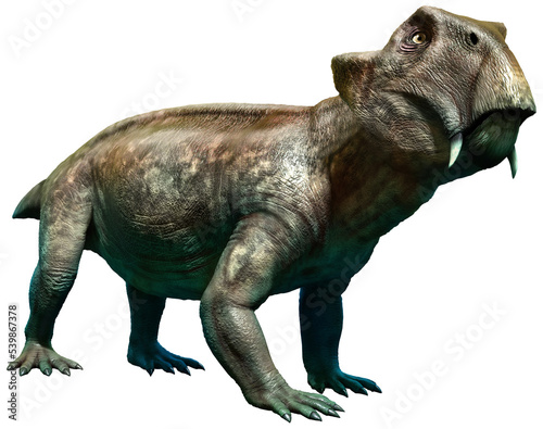Fototapeta Naklejka Na Ścianę i Meble -  Lystrosaurus from the Permian era 3D illustration	