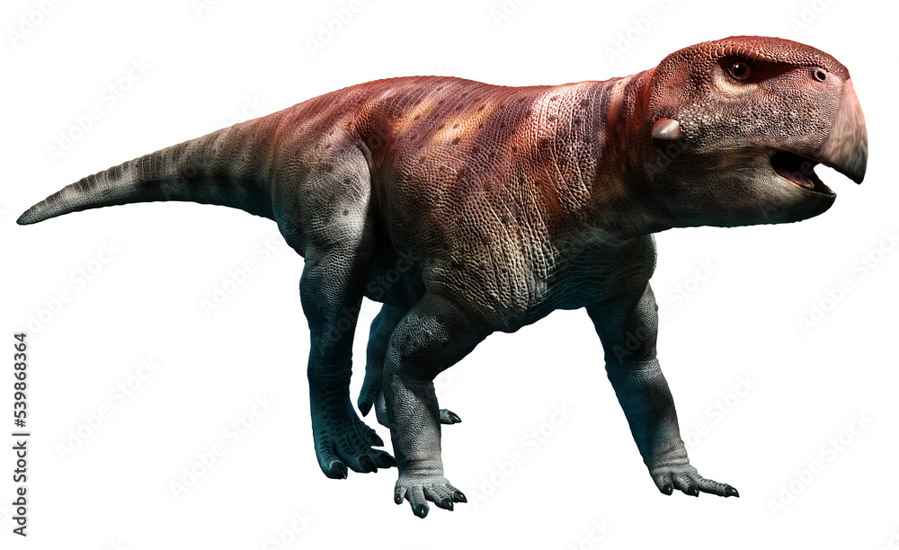 Psittacosaurus from the Cretaceous era 3D illustration Psittacosaurus from the Cretaceous era 3D illustration