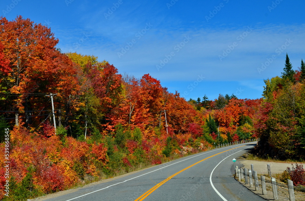 Fall Colors in Algonquin Park, Ontario, Canada, 2022