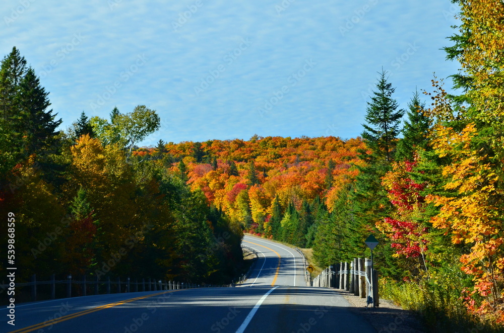 Obraz premium Fall Colors in Algonquin Park, Ontario, Canada, 2022
