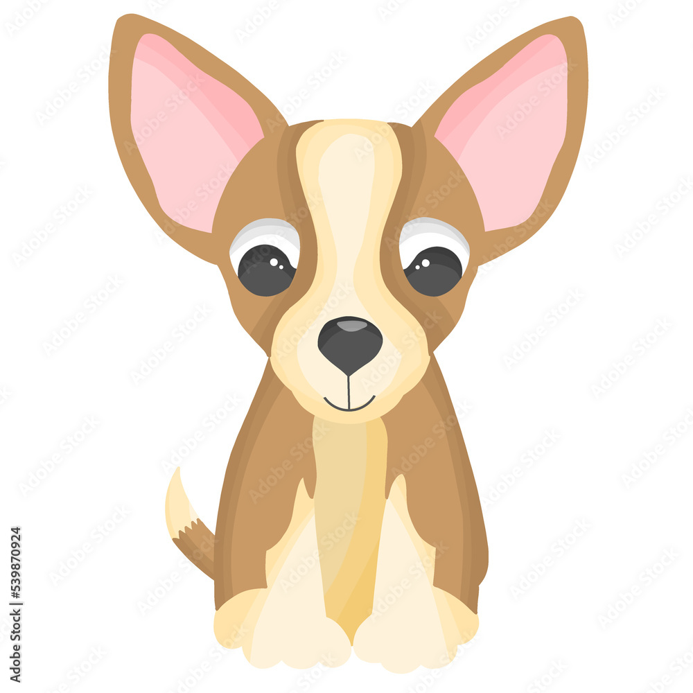 Chihuahua cute dog animal Chihuahua cute dog animal