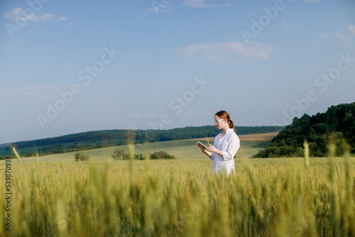 Female environmentalist scientist in a white coat in a green field of unripe ears of corn and recording data on a tablet device. Female researcher, biologist, walking in the field