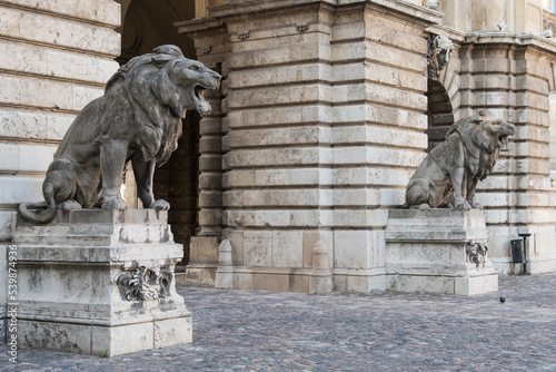 Lion sculptures by János Fadrusz (1901) at the gateway of Buda Castle Royal Palace - Budapest, Hungary photo