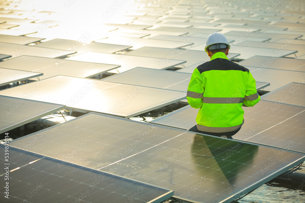 custom made wallpaper toronto digitalPortrait of professional man engineer working checking the panels at solar energy on buoy floating. Power plant with water, renewable energy source. Eco technology for electric power in industry.