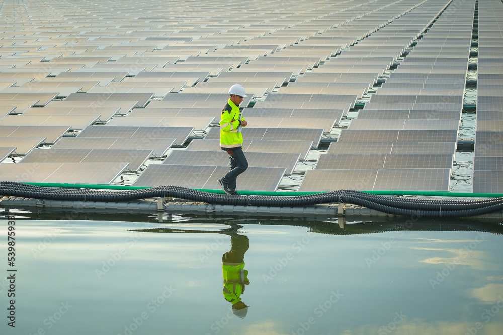 custom made wallpaper toronto digitalPortrait of professional man engineer working checking the panels at solar energy on buoy floating. Power plant with water, renewable energy source. Eco technology for electric power in industry.