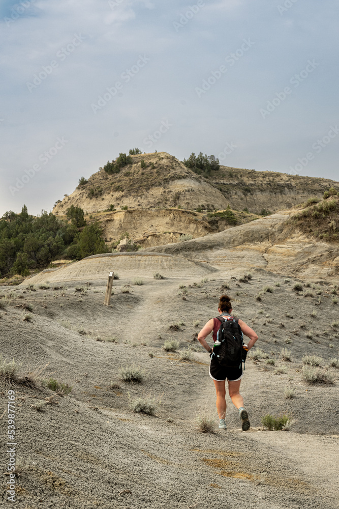 Hiker Heading Uphill Along Badlands Formations