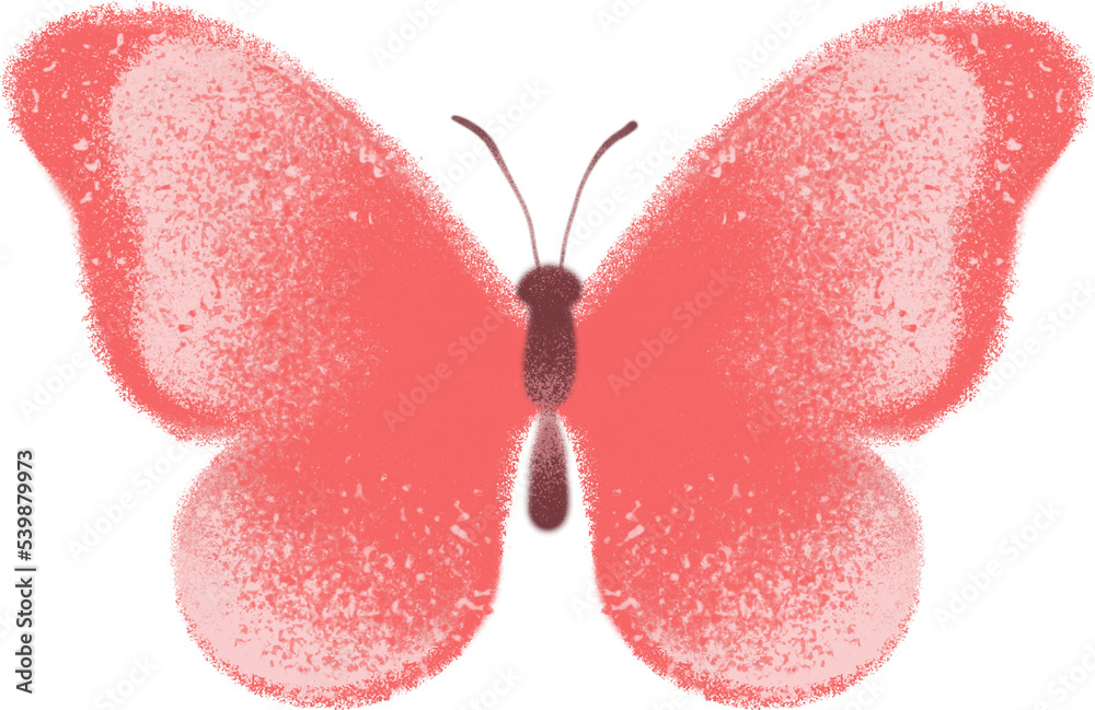 Fototapeta premium butterfly isolated on white