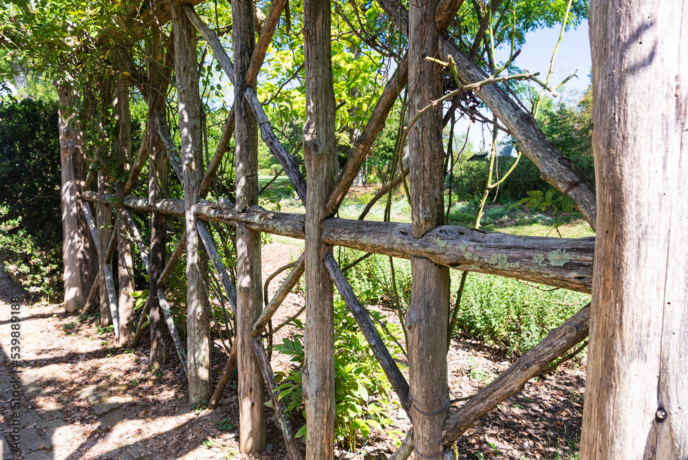 close-up of an old wooden pergola with green plants. Fastening and crossing wooden logs.