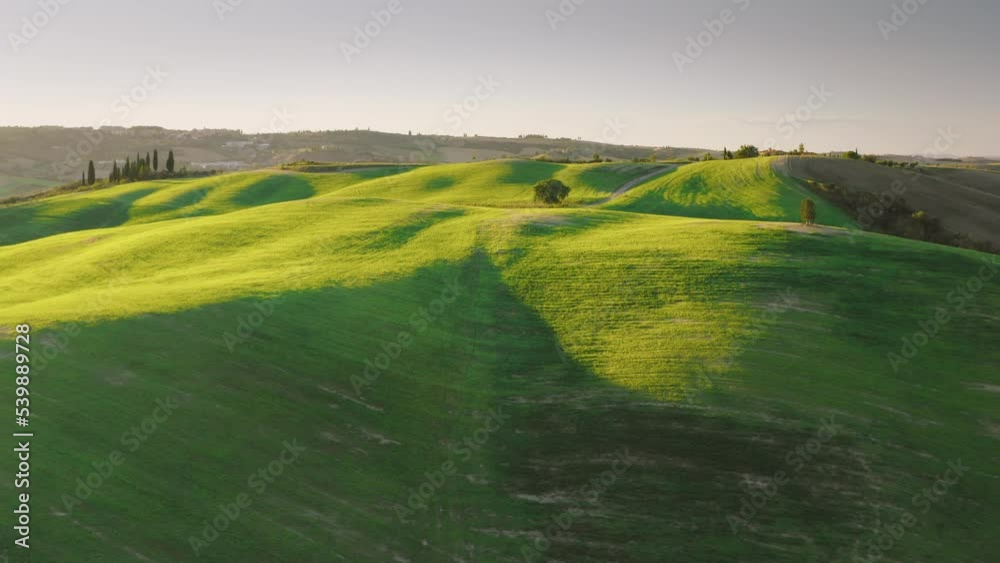 Amazing aerial view of green fields during sunset in Val D'Orcia, Tuscany. Amazing aerial view of green fields during sunset in Val D'Orcia, Tuscany.