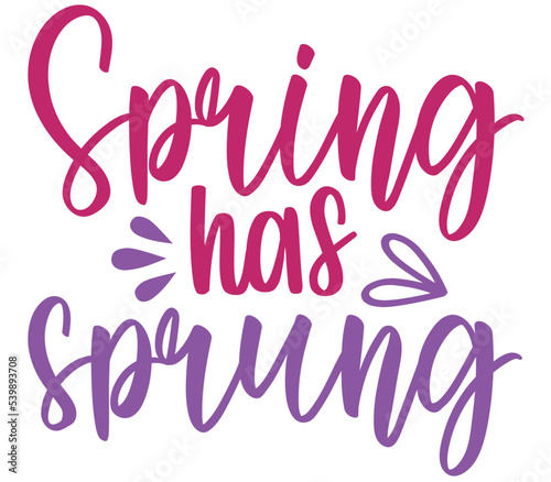 Spring has sprung, Easter SVG Design, Easter Cut File, Easter SVG, Easter T-Shirt Design, Easter Design, Easter Bundle © DL Studio