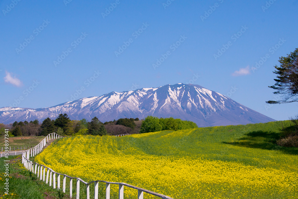 Fototapeta premium ＜日本＞南部片富士とよばれる岩手山