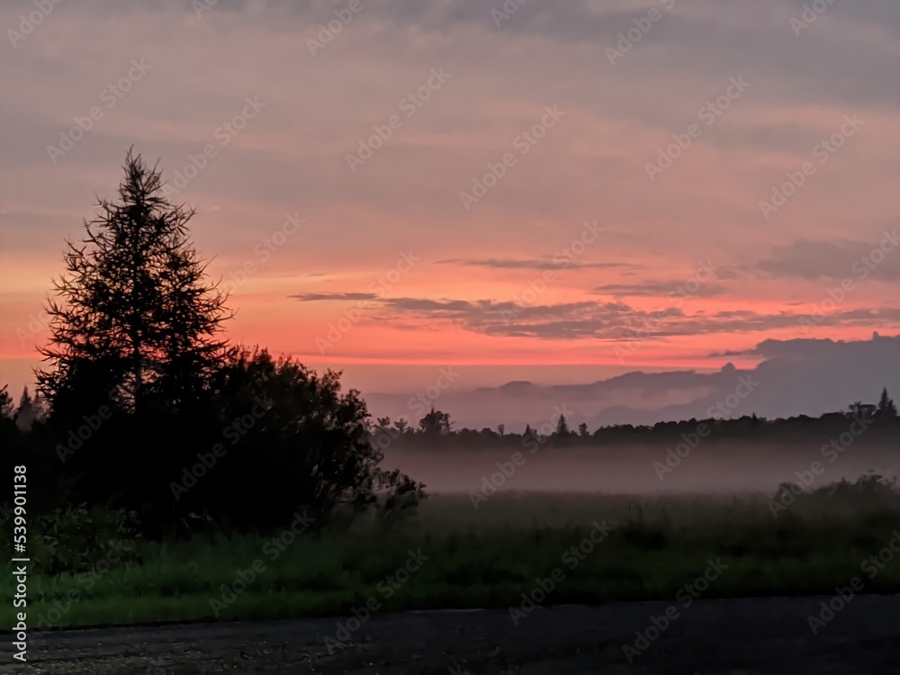 Foggy Sunset