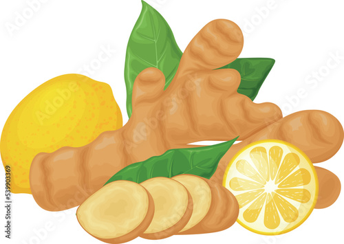 Ginger. Vector image of ginger with lemon and leaves. Medicinal plant in cartoon style. Isolated on a white background