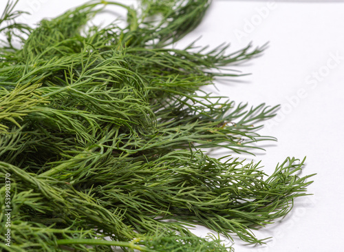 Dill is a table green fresh seasoning for cooking various dishes in cooking.