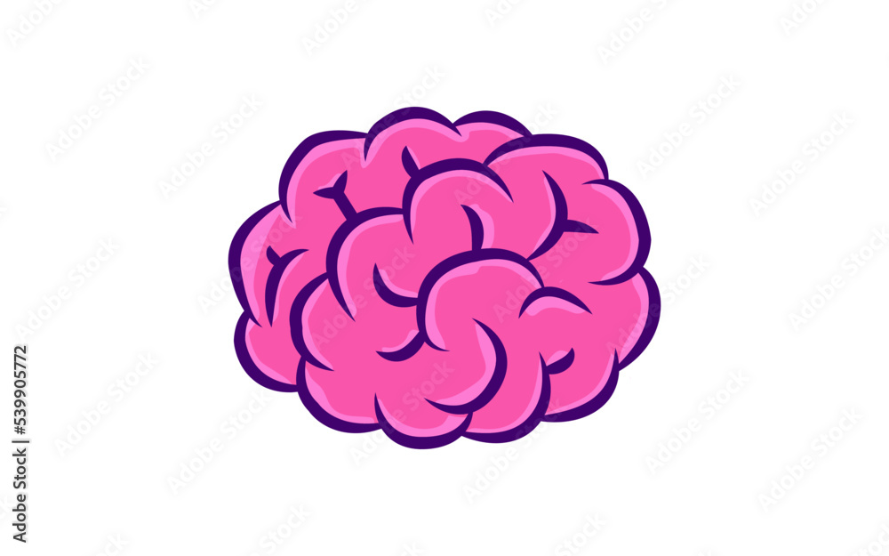 human brain isolated on white human brain isolated on white