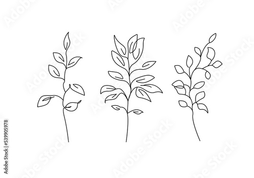 Continuous One Line Leaves Branch Set. Abstract Line Art of Flower with Leaves in Modern Linear Style. Vector Drawing of Simple Flowers For Beauty Logo Design  Printing  T-shirts  Postcard  Poster 