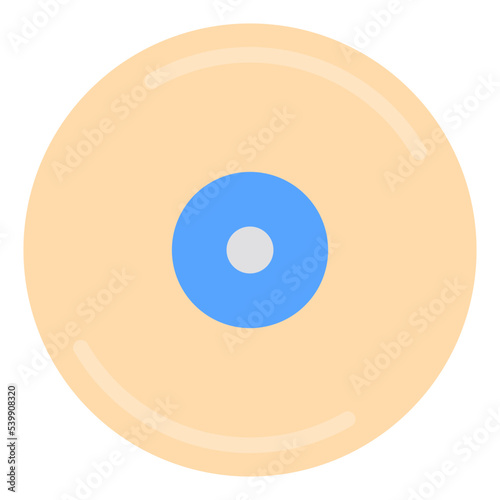CD flat style icon