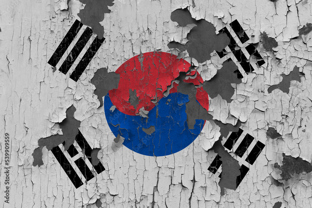 Fototapeta premium 3D Flag of South Korea on an old stone wall background.