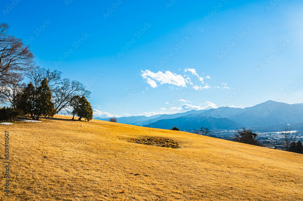 Obraz premium 冬の安曇野