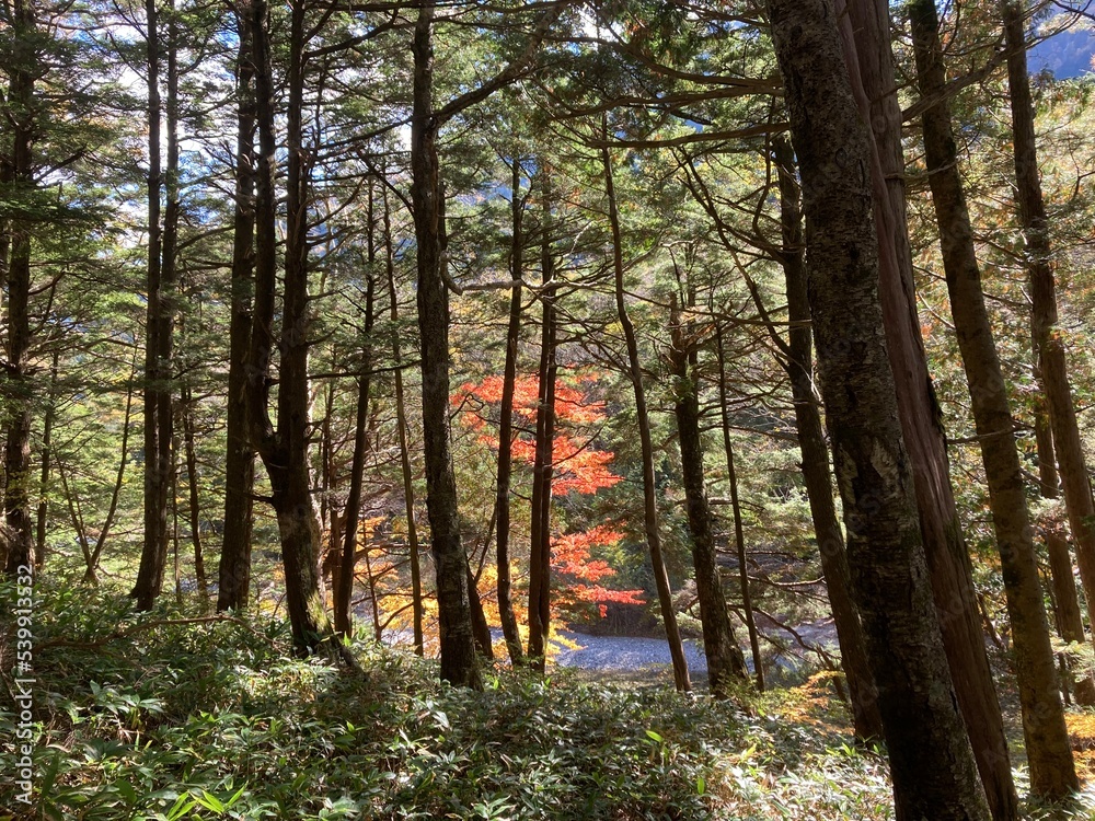 Obraz premium 上高地