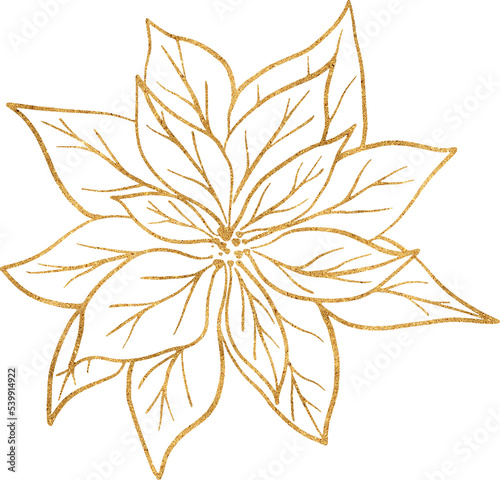 poinsettia flower Glittery gold Christmas isolated