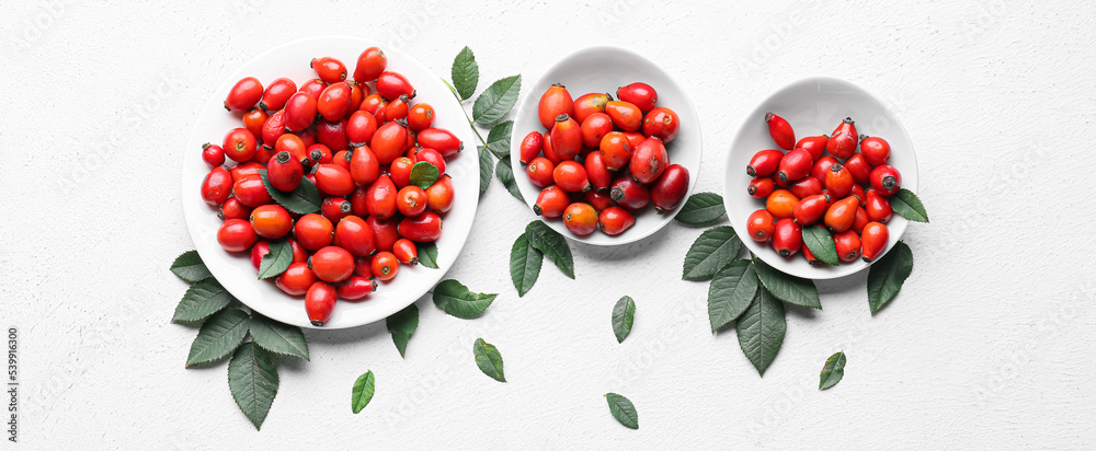 Plates with fresh rose hip berries and leaves on white background