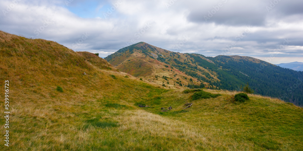 mountain landscape on a cloudy autumn day. nature scenery with colorful grass on the ridge meadows. trees on the hills