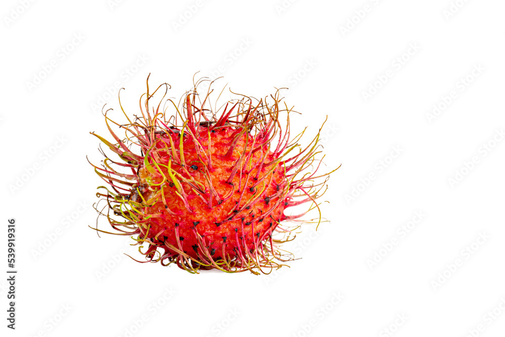 Naklejka premium Rambutans fruit on transparent background.