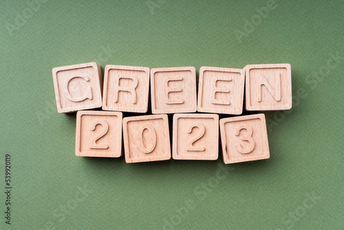 Color trends 2022, flat, lay, top view. The inscription is made of eco-friendly wooden cubes. Conceptual trends ecology, greenpeace, green