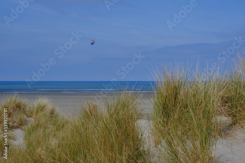 Sand dunes and ocean grass on empty beach on sunny day with blue sky © Tamme