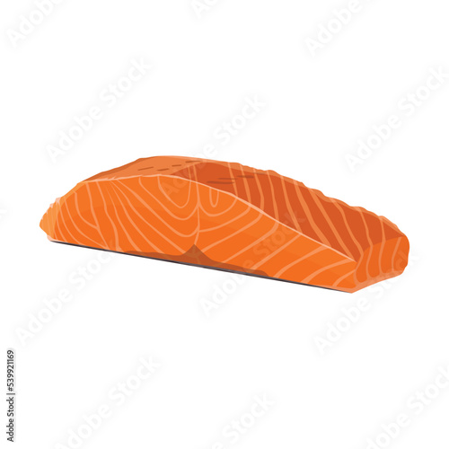 Red Salmon fillet sashimi grade, Huon Aquaculture Fresh Salmon Fillet Portioned. Flat vector illustration isolated on white background
