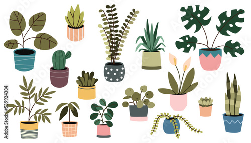 Potted plant. Houseplants in flower pot. Vector bundle of trendy plants