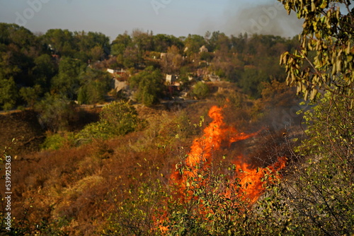 Fires in mountainous areas. Ignition of dry grass, shrubs and trees. © Vladimir