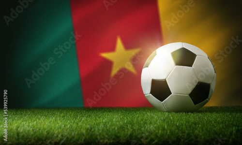 Cameroon national team background with ball and flag