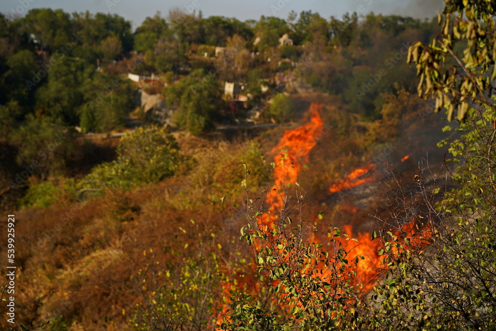 Fires in mountainous areas. Ignition of dry grass, shrubs and trees