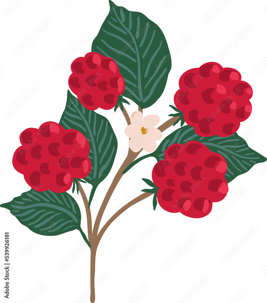 Hand drawn branch with flowers and fruits, garden harvest clipart, fruit garden concept Hand drawn branch with flowers and fruits, garden harvest clipart, fruit garden concept