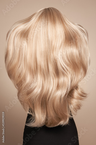 Back view of woman with long beautiful blond hair isolated on beige background. Dyeing and hair care. Shiny smooth blonde hair