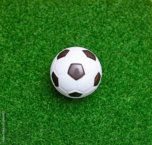 The soccer ball is placed on the green grass in the middle.