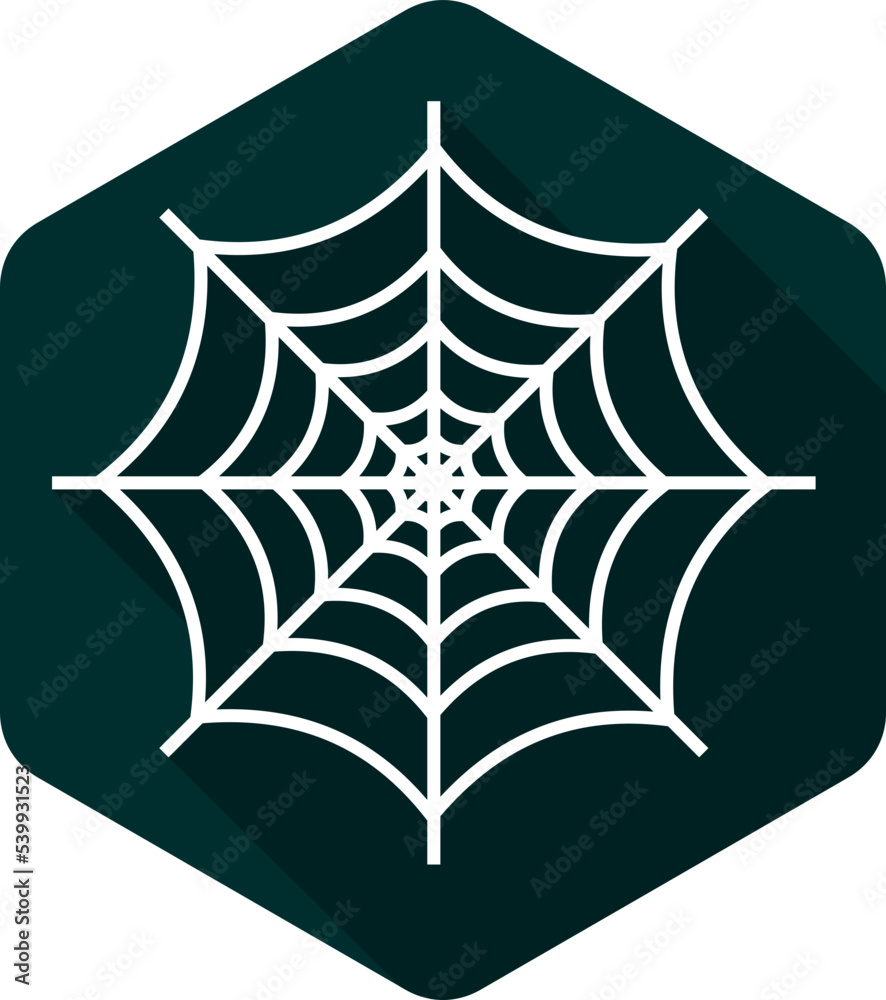 Spider Web