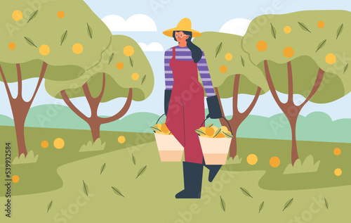Woman farmer or gardener working in orchard, flat cartoon vector illustration.
