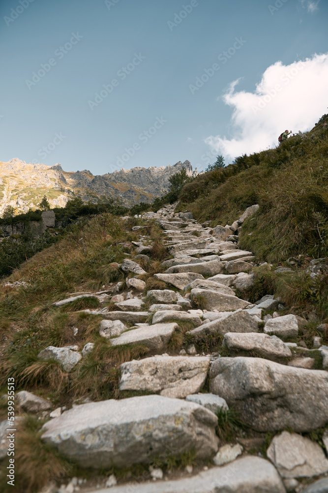 Hiking in the mountains. Beautiful stone pathway on a hiking track. Wild mountain forest with stones and fern plants. Sun rays falling on the trail. Hiking in the mountains. Beautiful stone pathway on a hiking track. Wild mountain forest with stones and fern plants. Sun rays falling on the trail.